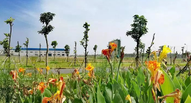 金沙js3833(中国游)有限公司官网