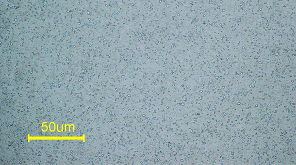 热处置惩罚sk85的金相组织