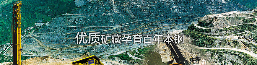 金沙js3833(中国游)有限公司官网