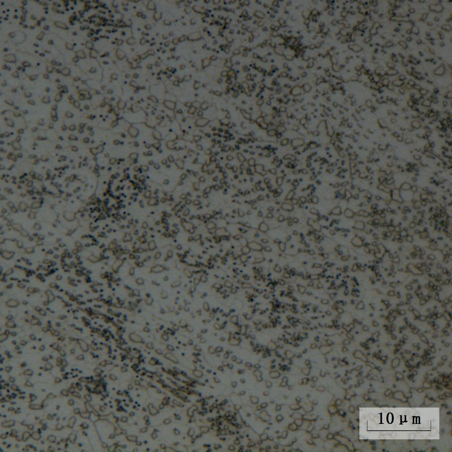 65Mn冷轧钢带的球化