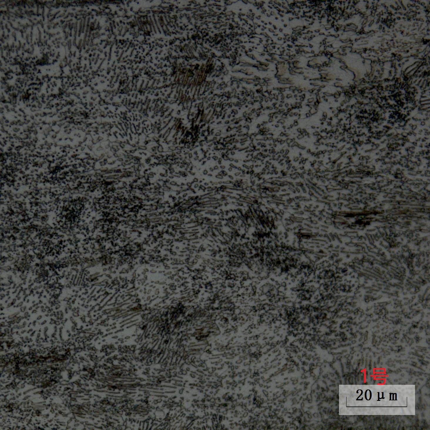 金沙js3833(中国游)有限公司官网