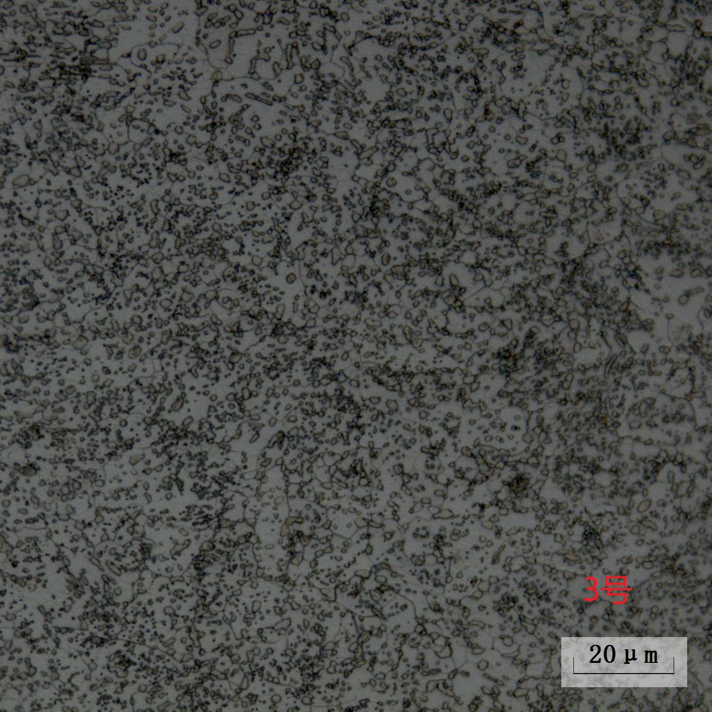 金沙js3833(中国游)有限公司官网