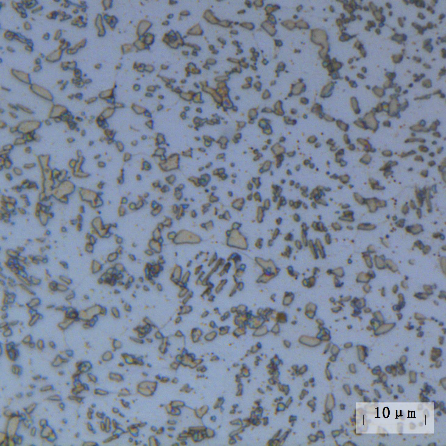 60Si2MnA热轧退火金相图